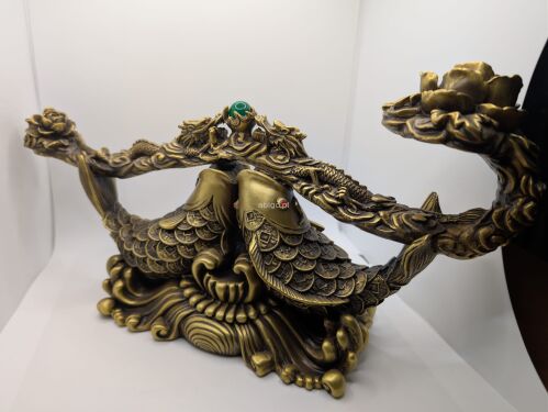 Chińska para karpi - 2