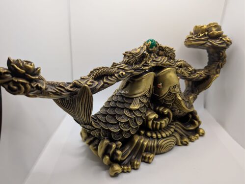 Chińska para karpi - 3